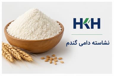 نشاسته دامی گندم